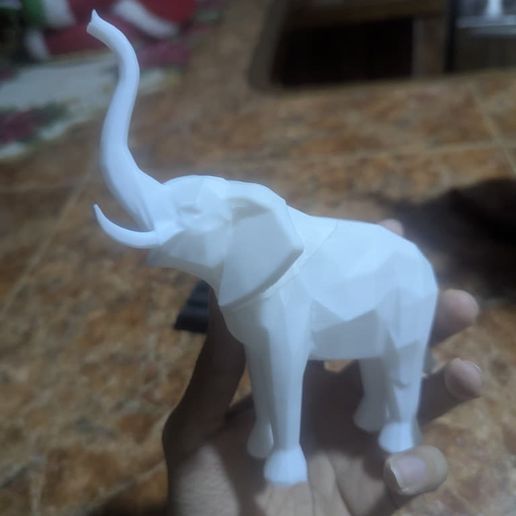 WhatsApp-Image-2025-11-27-at-11.57.22-AM.jpeg Elephant lifting its trunk LOW POLY