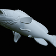 White-grouper-open-mouth-statue-72.png fish white grouper / Epinephelus aeneus open mouth statue detailed texture for 3d printing