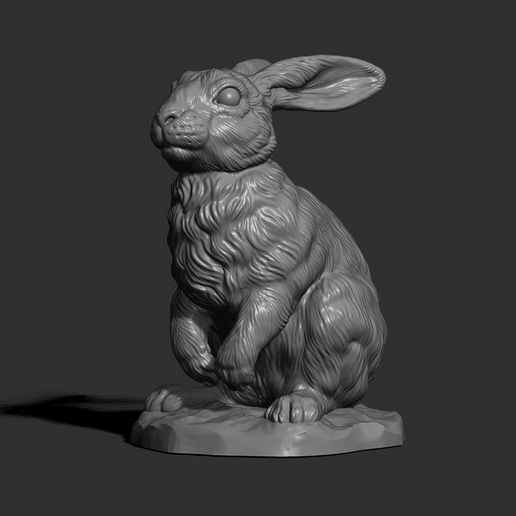 4.jpg Rabbit sitting