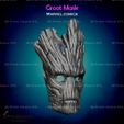 2.jpg Groot Mask - Fan Art for cosplay 3D print model