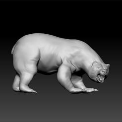 a4.jpg Bear