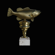 peacock-bass-trophy-3-1-2-6.png Peacock bass (Cichla ocellaris) fish trophy cup 2 for 3d printing