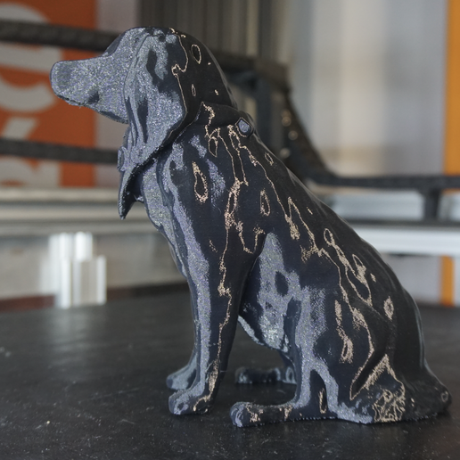 Screenshot-2024-07-19-at-14.20.53.png Mayor Paddy