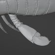 Jaekelopterus3D_05.jpg Sea scorpion (Jaekelopterus rhenaniae)