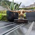 1.jpg Sculpture Athlete