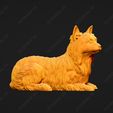 719-Australian_Terrier_Pose_09.jpg Australian Terrier Dog 3D Print Model Pose 09