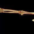 ps2.jpg Upper limb arteries axilla arm forearm 3D model