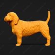 874-Basset_Fauve_de_Bretagne_Pose_02.jpg Basset Fauve de Bretagne Dog 3D Print Model Pose 02