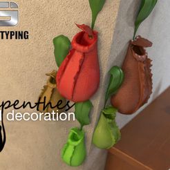 Nepenthes.jpg Fichier STL gratuit décoration murale-nepenthes・Modèle pour impression 3D à télécharger, gaojiemodelsales