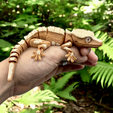 crested-gecko-thumb.png Gecko Crestado Articulado | Prepintado + Versión Opcional Ojos de Cristal de 8mm