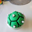 Spiked turtle shell switch game organizer Multi Part