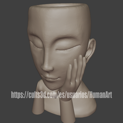 3d1.png STL file Flowerpot Face Woman・3D print object to download