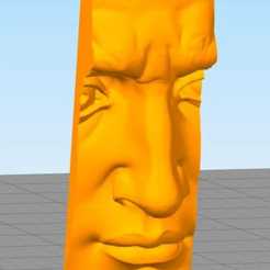 загруженное.png 3D model of David's Nose