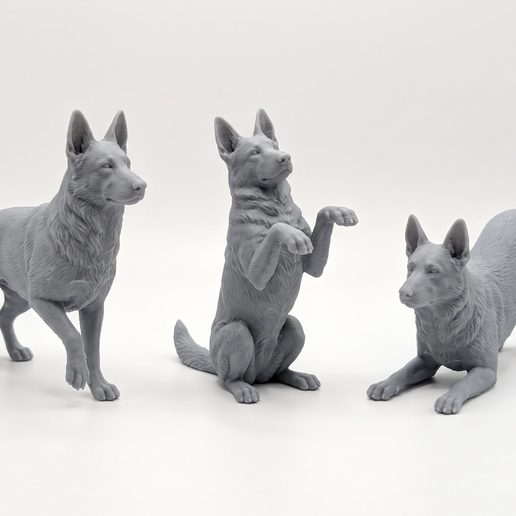 German Shepherd – Three Dynamic Poses