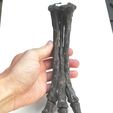 IMG_20180901_190225.jpg OBJ file Life size baby T-rex skeleton - Part 03/10・3D printing model to download