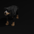 untitleRR.png DOG DOG - DOWNLOAD Rottweiler 3d model - animated CANINE PET GUARDIAN WOLF HOUSE HOME GARDEN POLICE - 3D printing DOG DOG DOG
