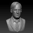 saul8.jpg Jimmy Mcgill/Saul Goodman