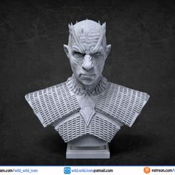 NightKingBust.jpg Free OBJ file Night king bust・Design to download and 3D print