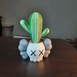1.jpg Kaws planter with cactus (divided by color)