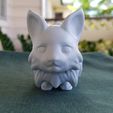 20220322_134427.jpg Corgifox Figurine