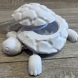 IMG_4452.jpg Fidget Tortoise with Open shell
