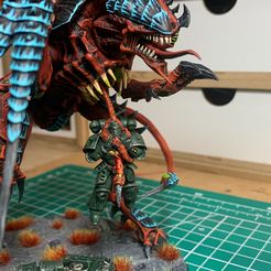 Dimachaeron