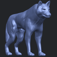 14_TDA0610_WolfB08.png Wolf