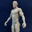 Cuerpo_Anatomia_Lat.jpg Male body anatomy