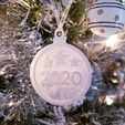 2020WTFChristmasBaubleOrnamentWithJumpringOnXmasTree3DPrintPhoto.jpg Christmas Ornament - 2020 WTF Bauble