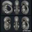 Alien_Chibi_Render4.jpg Xenomorph Alien Embryo