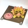 Flower-Self-Adjusting-Coaster-KrakDrag-8.jpg Flower: Self-Adjusting Coaster