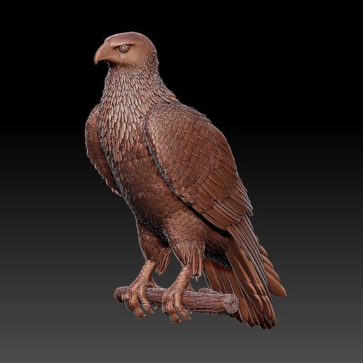 🦅 hawk・ STL File for ・Cults