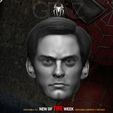 TOBYSDSSS.png SPIDERMAN / PETER PARKER / TOBEY MAGUIRE HEAD