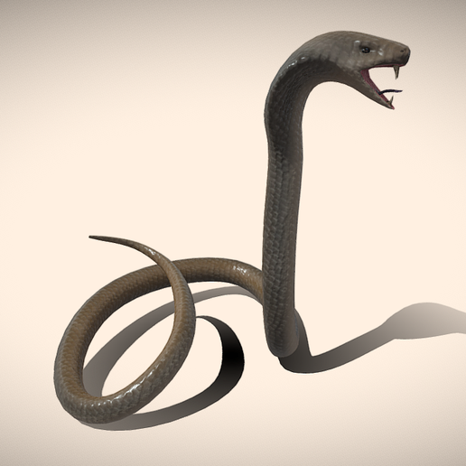 3.png King Cobra Snake