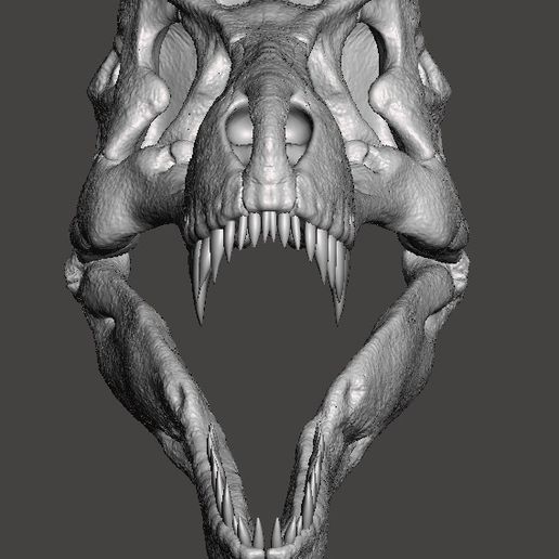 t-rex skull1.jpg Fichier STL T rex crâne・Objet pour impression 3D à télécharger, Lucas_Kranz