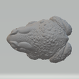 4.png ファット・トード・フロッグ 3Dプリントモデル 3Dプリントモデル