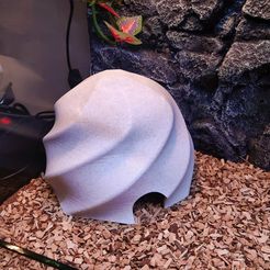IMG_20230917_090748~2.jpg STL file Septagon Snake Hide・3D printing model to download