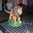 Lion2.jpg Lion
