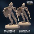resize-001-4.jpg Seekers of the Ethernal Moon ALL VARIANTS - MINIATURES 2023