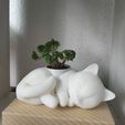 Gatito_final.jpeg OBJ file Maceta gato durmiendo / Sleeping Cat plant pot・3D printer design to download