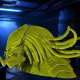 untitled.610.jpg Alien Predator Bust - 3D Sculpture