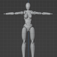 Screenshot-2024-03-17-123856.png Articulated Female Figure