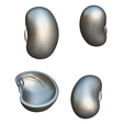 Bean_Matcap.png Anatomia di un seme di fagiolo