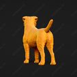 2228-Border_Terrier_Pose_03.jpg Border Terrier Dog 3D Print Model Pose 03