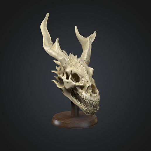 Screenshot-2025-01-09-at-19.06.46.png Dragon Skull with stand