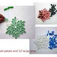 assemble_of_parts.jpg Copo de nieve multicolor con estampado de plumas en 3d