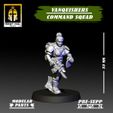 re VANQUISHERS | Hr ) COMMAND SQUAD OKNIGHT SOUL Studia jy 33 MM MODULAR PRE-SUPP w PARTS & aS 7, aS Vanquishers Command Squad