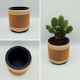 8.png Flower pot - JUNE