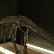 4.jpg Edmontosaurus skeleton