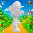 99.jpg Luigi - Super Mario Fan Art 3D Model